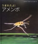 うまれたよ！アメンボ　よみきかせいきものしゃしんえほん18