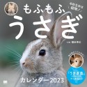 もふもふうさぎ　カレンダー　2023