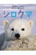 シロクマ　教科書にのってるどうぶつの赤ちゃん