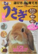 うさぎ選び方・育て方