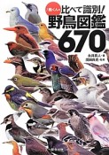 ♪鳥くんの比べて識別！野鳥図鑑670