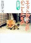 子ぎつねヘレンがのこしたもの　森の獣医さんの動物日記