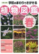 学校のまわりでさがせる植物図鑑＜ハンディ版＞　春