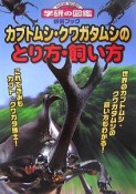 カブトムシ・クワガタムシのとり方・飼い方