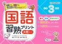 国語習熟プリント　小学3年生　大判サイズ