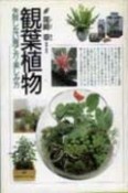 観葉植物