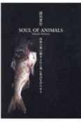 SOUL　OF　ANIMALS　肉体の奥に秘められた魂に焦点を合わせる