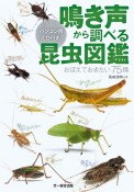 鳴き声から調べる昆虫図鑑　パソコン用CD付