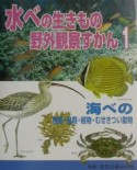 水べの生きもの野外観察ずかん　海べの魚類・鳥類・植物・むせきつい動物（1）