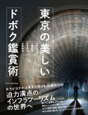 東京の美しいドボク鑑賞術