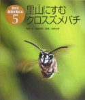 里山にすむクロスズメバチ