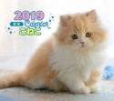 ミニカレンダー　こねこ　2019