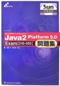 Sunテキスト　Java2　Platform5．0問題集