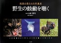 野生の鼓動を聴く　琉球の聖なる自然遺産