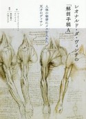レオナルド・ダ・ヴィンチの「解剖手稿A」